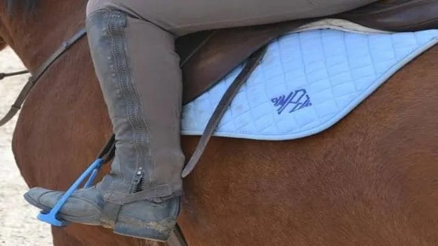 Ariat Half Chaps Size Chart