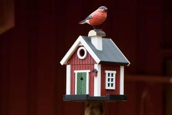 Bird House Hole Size Chart