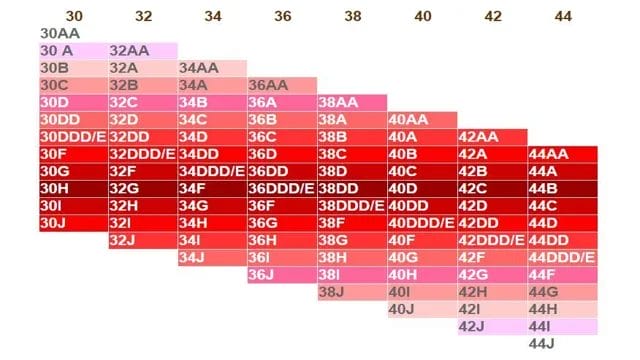 Bra-Sister-Size-Chart-Us