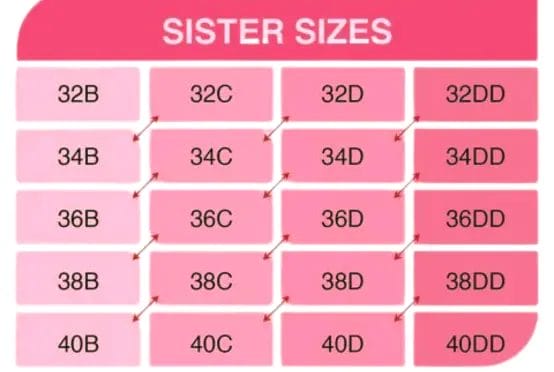 Bra-sister-size-chart.webp