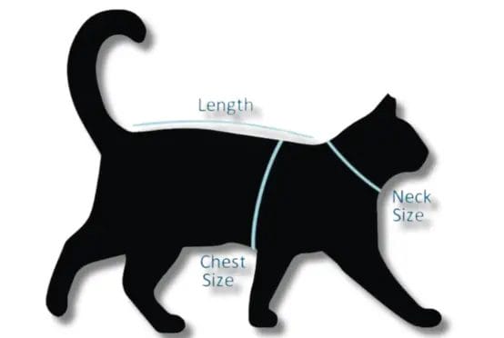 Cat Size Chart