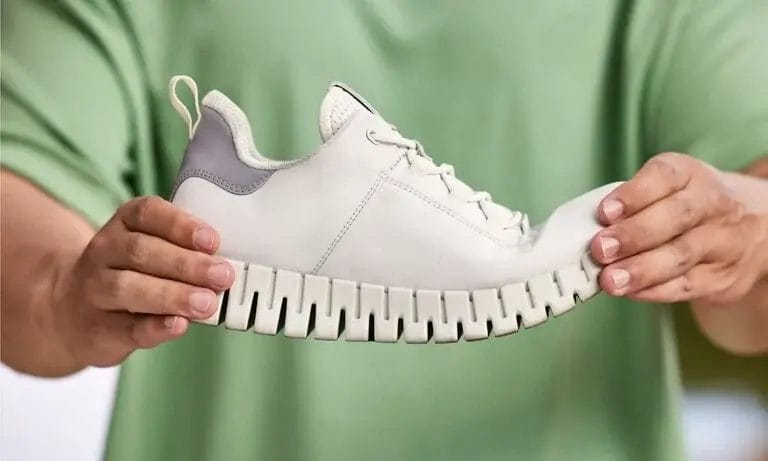 Ecco Shoe