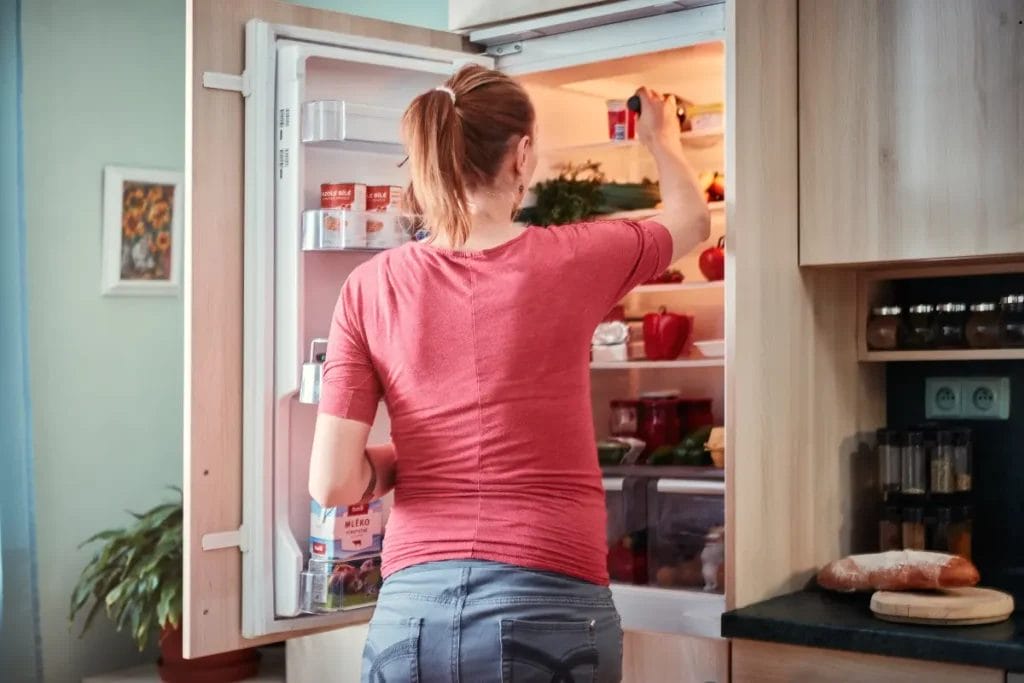 How to Choose the Best Beverage Refrigerator